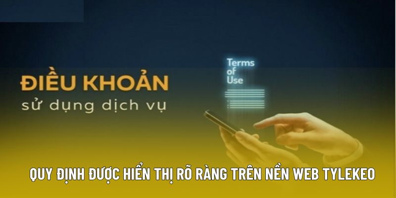 Quy định được hiển thị rõ ràng trên nền web tylekeo